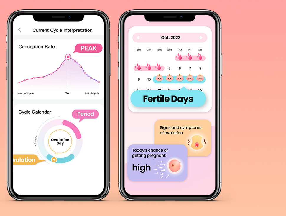 femometer app download for smart fertility tracking pc